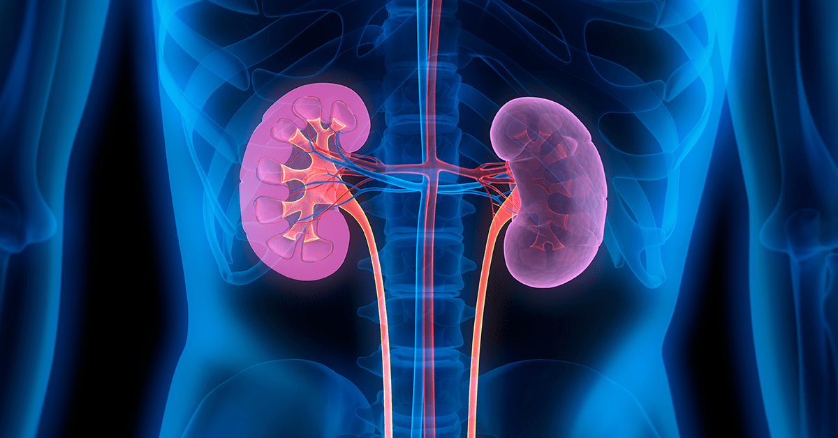 Estimulação Elétrica Transcutânea Parassacral e Percutânea no