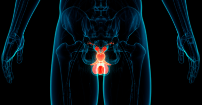 Estimulação Elétrica Transcutânea Parassacral e Percutânea no